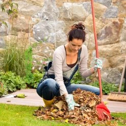 Relaxdays Rankgitter Vogel 10 Relaxdays Rankgitter Vogel -Blumfeldt Geschäft 8600323900 1002570249 prod 005